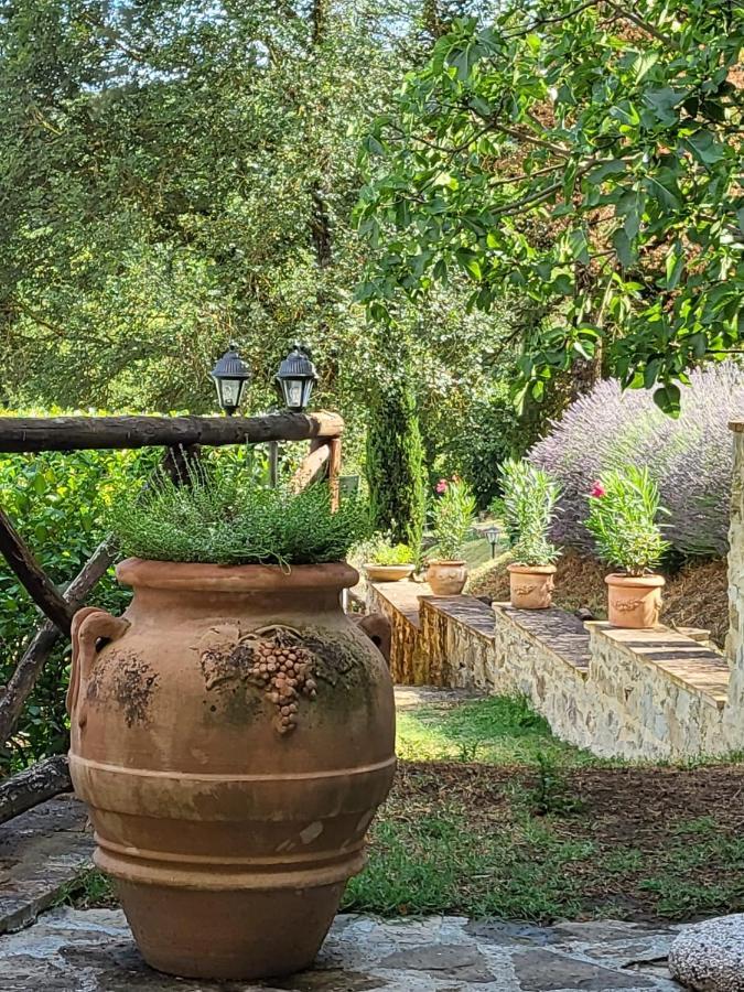Luxury 1-Bedroom House With The Pool In Tuscany. Anghiari Εξωτερικό φωτογραφία