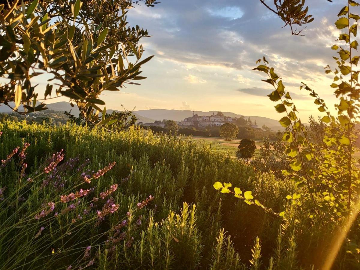 Luxury 1-Bedroom House With The Pool In Tuscany. Anghiari Εξωτερικό φωτογραφία