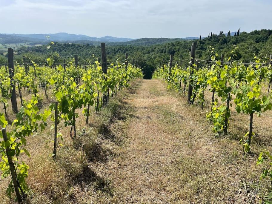 Luxury 1-Bedroom House With The Pool In Tuscany. Anghiari Εξωτερικό φωτογραφία