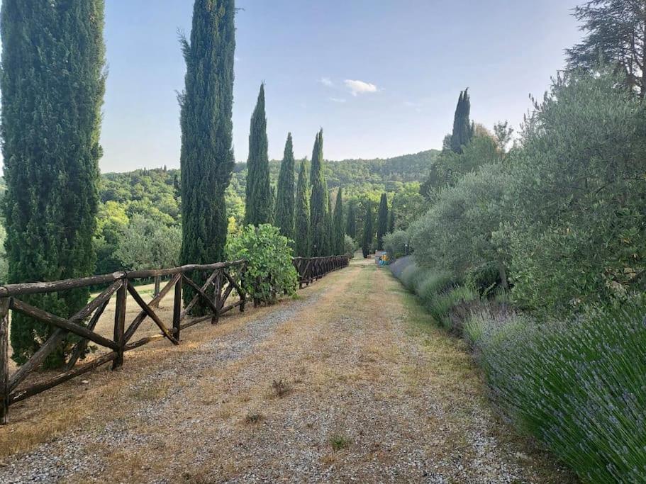 Luxury 1-Bedroom House With The Pool In Tuscany. Anghiari Εξωτερικό φωτογραφία