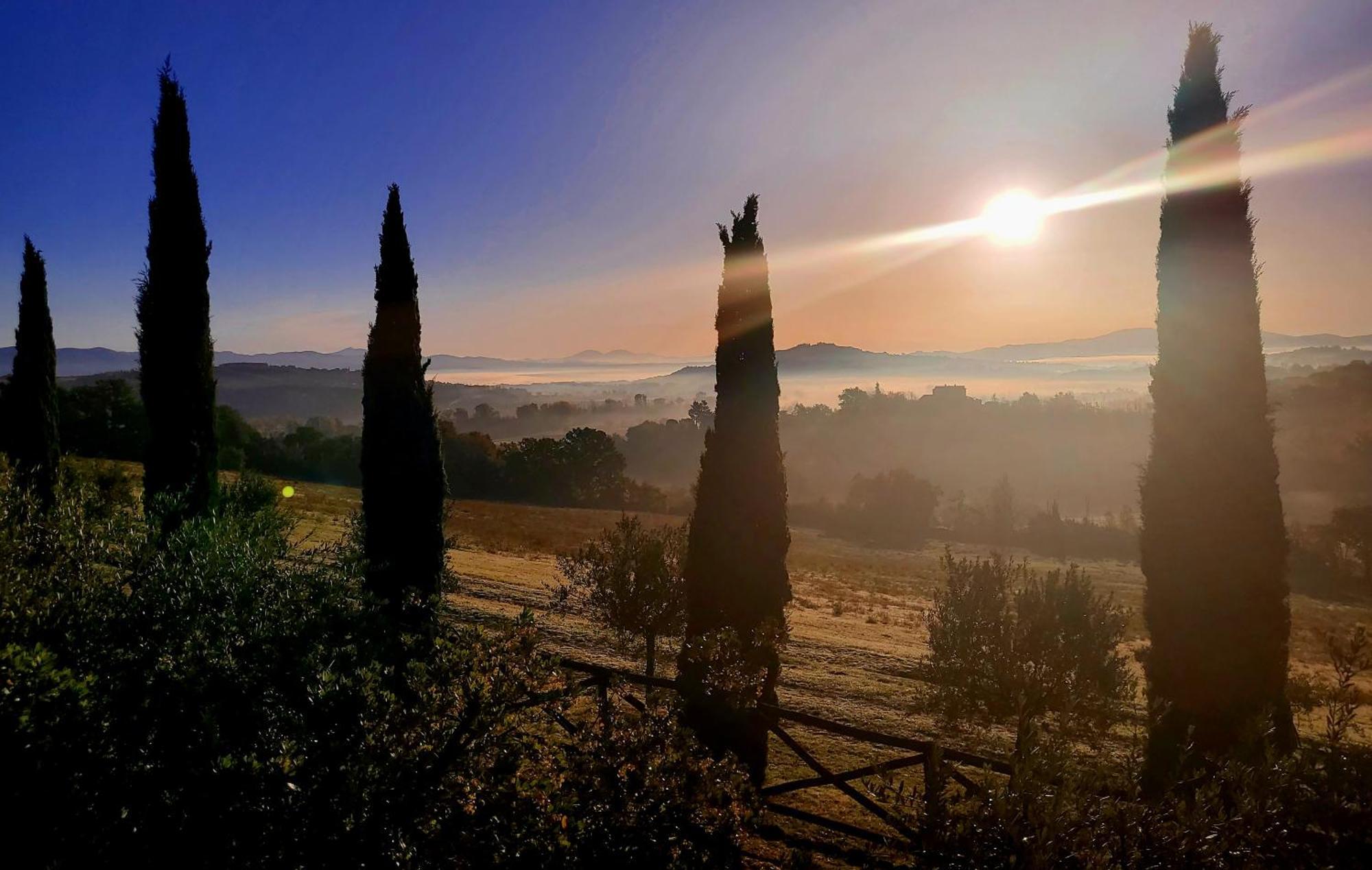 Luxury 1-Bedroom House With The Pool In Tuscany. Anghiari Εξωτερικό φωτογραφία